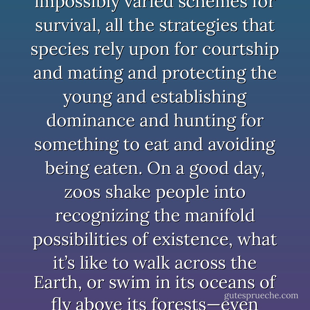 Despite all their flaws, zoos wake us up. They invite us to step outside our most basic assumptions. Offered for our contemplation, the animals remind us of nature’s impossibly varied schemes for survival, all the strategies that species rely upon for courtship and mating and protecting the young and establishing dominance and hunting for something to eat and avoiding being eaten. On a good day, zoos shake people into recognizing the manifold possibilities of existence, what it’s like to walk across the Earth, or swim in its oceans of fly above its forests—even though most animals on display will never have the chance to do any of those things again, at least not in the wild. - Thomas   French