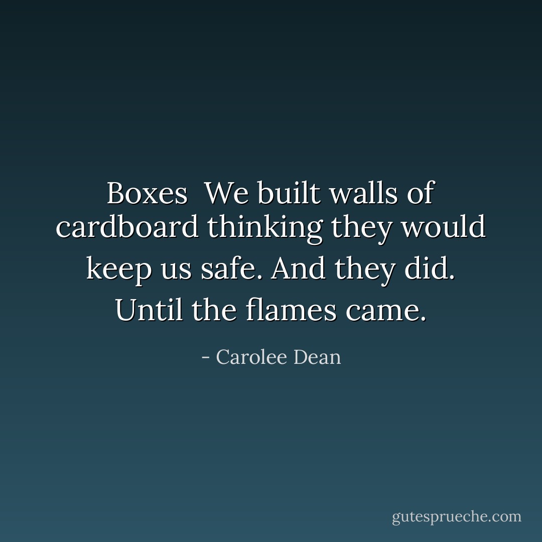 Boxes<br /><br />We built walls of cardboard<br />thinking they would keep us safe.<br />And they did.<br />Until the flames<br />came. - Carolee Dean