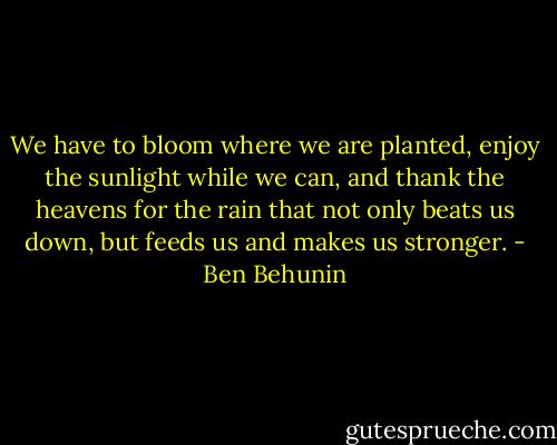 We have to bloom where we are planted, enjoy the sunlight while we can, and thank the heavens for the rain that not only beats us down, but feeds us and makes us stronger. - Ben Behunin