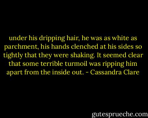 under his dripping hair, he was as white as parchment, his hands clenched at his sides so tightly that they were shaking. It seemed clear that some terrible turmoil was ripping him apart from the inside out. - Cassandra Clare