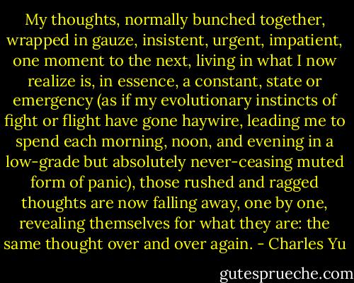 My thoughts, normally bunched together, wrapped in gauze, insistent, urgent, impatient, one moment to the next, living in what I now realize is, in essence, a constant, state or emergency (as if my evolutionary instincts of fight or flight have gone haywire, leading me to spend each morning, noon, and evening in a low-grade but absolutely never-ceasing muted form of panic), those rushed and ragged thoughts are now falling away, one by one, revealing themselves for what they are: the same thought over and over again. - Charles Yu