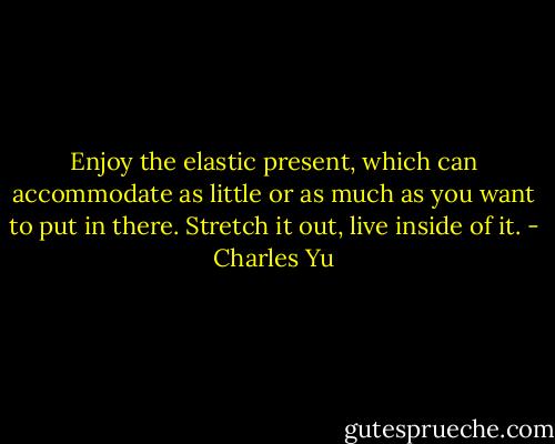 Enjoy the elastic present, which can accommodate as little or as much as you want to put in there. Stretch it out, live inside of it. - Charles Yu