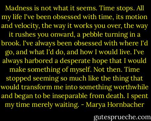 Madness is not what it seems. Time stops. All my life I've been obsessed with time, its motion and velocity, the way it works you over, the way it rushes you onward, a pebble turning in a brook. I've always been obsessed with where I'd go, and what I'd do, and how I would live. I've always harbored a desperate hope that I would make something of myself. Not then. Time stopped seeming so much like the thing that would transform me into something worthwhile and began to be inseparable from death. I spent my time merely waiting. - Marya Hornbacher