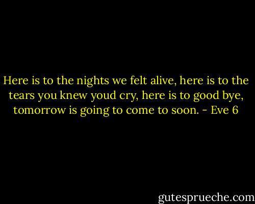 Here is to the nights we felt alive, here is to the tears you knew youd cry, here is to good bye, tomorrow is going to come to soon. - Eve 6