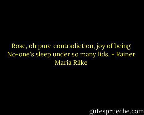 Rose, oh pure contradiction, joy<br />of being No-one's sleep under so many<br />lids. - Rainer Maria Rilke
