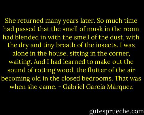 She returned many years later. So much time had passed that the smell of musk in the room had blended in with the smell of the dust, with the dry and tiny breath of the insects. I was alone in the house, sitting in the corner, waiting. And I had learned to make out the sound of rotting wood, the flutter of the air becoming old in the closed bedrooms. That was when she came. - Gabriel García Márquez