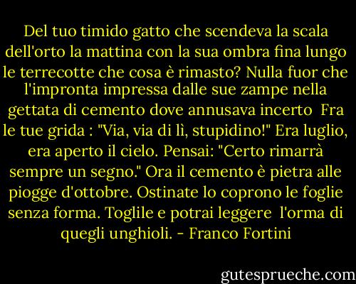 Del tuo timido gatto<br />che scendeva la scala<br />dell'orto la mattina<br />con la sua ombra fina<br />lungo le terrecotte<br />che cosa è rimasto? Nulla<br />fuor che l'impronta impressa<br />dalle sue zampe nella<br />gettata di cemento<br />dove annusava incerto<br /><br />Fra le tue grida : "Via,<br />via di lì, stupidino!"<br />Era luglio, era aperto<br />il cielo. Pensai: "Certo<br />rimarrà sempre un segno."<br />Ora il cemento è pietra<br />alle piogge d'ottobre.<br />Ostinate lo coprono<br />le foglie senza forma.<br />Toglile e potrai leggere<br /><br />l'orma di quegli unghioli. - Franco Fortini