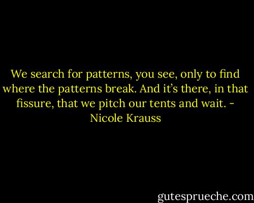We search for patterns, you see, only to find where the patterns break. And it’s there, in that fissure, that we pitch our tents and wait. - Nicole Krauss