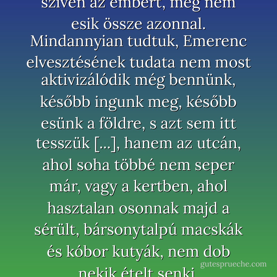 Mikor nagyon éles késsel döfik szíven az embert, még nem esik össze azonnal. Mindannyian tudtuk, Emerenc elvesztésének tudata nem most aktivizálódik még bennünk, később ingunk meg, később esünk a földre, s azt sem itt tesszük [...], hanem az utcán, ahol soha többé nem seper már, vagy a kertben, ahol hasztalan osonnak majd a sérült, bársonytalpú macskák és kóbor kutyák, nem dob nekik ételt senki. - Magda Szabó