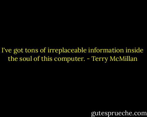 I've got tons of irreplaceable information inside the soul of this computer. - Terry McMillan