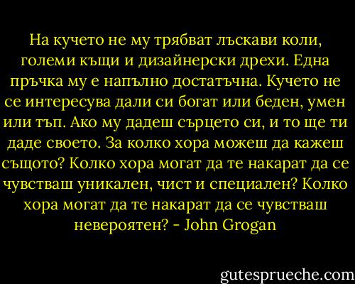 На кучето не му трябват лъскави коли, големи къщи и дизайнерски дрехи. Една пръчка му е напълно достатъчна. Кучето не се интересува дали си богат или беден, умен или тъп. Ако му дадеш сърцето си, и то ще ти даде своето. За колко хора можеш да кажеш същото? Колко хора могат да те накарат да се чувстваш уникален, чист и специален? Колко хора могат да те накарат да се чувстваш невероятен? - John Grogan