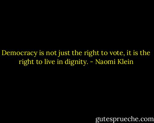 Democracy is not just the right to vote, it is the right to live in dignity. - Naomi Klein
