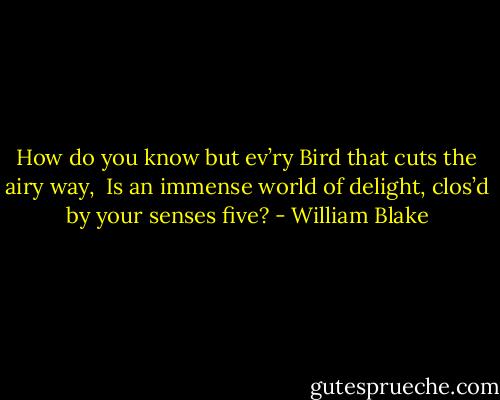 How do you know but ev’ry Bird that cuts the airy way, <br />Is an immense world of delight, clos’d by your senses five? - William Blake