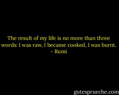 The result of my life is no more than three words: I was raw, I became cooked, I was burnt. - Rumi