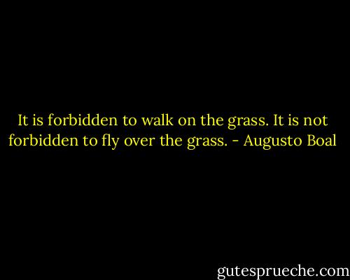 It is forbidden to walk on the grass. It is not forbidden to fly over the grass. - Augusto Boal