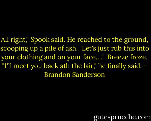 All right," Spook said. He reached to the ground, scooping up a pile of ash. "Let's just rub this into your clothing and on your face...."<br /> Breeze froze. "I'll meet you back ath the lair," he finally said. - Brandon Sanderson