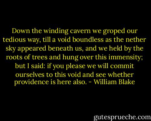 Down the winding cavern we groped our tedious way, till a void boundless as the nether sky appeared beneath us, and we held by the roots of trees and hung over this immensity; but I said: if you please we will commit ourselves to this void and see whether providence is here also. - William Blake