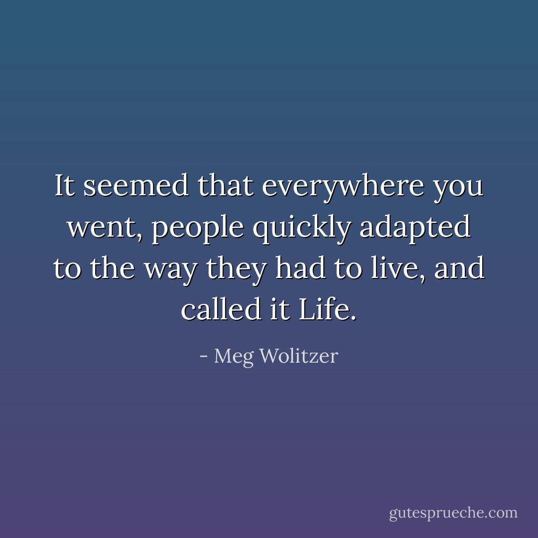 It seemed that everywhere you went, people quickly adapted to the way they had to live, and called it Life. - Meg Wolitzer