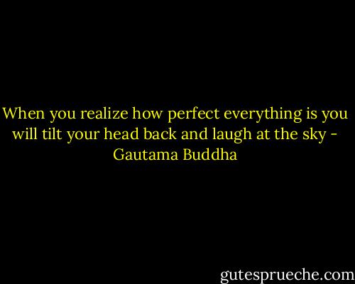 When you realize how perfect everything is you will tilt your head back and laugh at the sky - Gautama Buddha