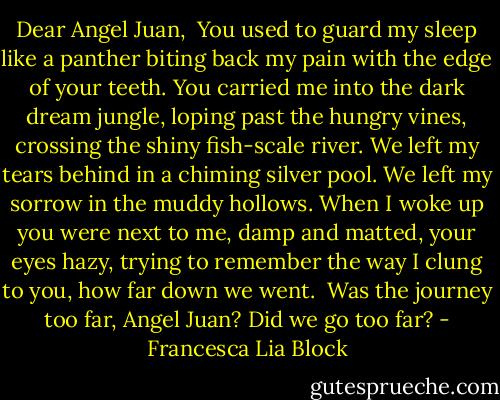 Dear Angel Juan,<br /><br />You used to guard my sleep like a panther biting back my pain with the edge of your teeth. You carried me into the dark dream jungle, loping past the hungry vines, crossing the shiny fish-scale river. We left my tears behind in a chiming silver pool. We left my sorrow in the muddy hollows. When I woke up you were next to me, damp and matted, your eyes hazy, trying to remember the way I clung to you, how far down we went.<br /><br />Was the journey too far, Angel Juan? Did we go too far? - Francesca Lia Block