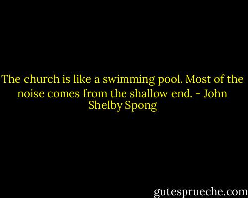 The church is like a swimming pool. Most of the noise comes from the shallow end. - John Shelby Spong