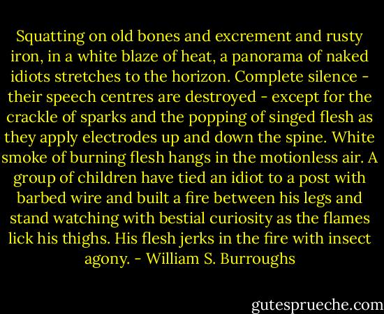 Squatting on old bones and excrement and rusty iron, in a white blaze of heat, a panorama of naked idiots stretches to the horizon. Complete silence - their speech centres are destroyed - except for the crackle of sparks and the popping of singed flesh as they apply electrodes up and down the spine. White smoke of burning flesh hangs in the motionless air. A group of children have tied an idiot to a post with barbed wire and built a fire between his legs and stand watching with bestial curiosity as the flames lick his thighs. His flesh jerks in the fire with insect agony. - William S. Burroughs
