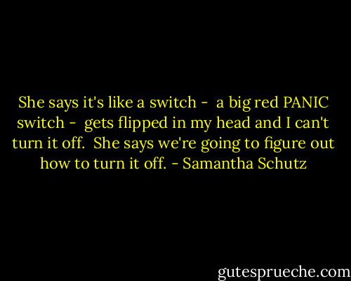 She says it's like a switch - <br />a big red PANIC switch - <br />gets flipped in my head<br />and I can't turn it off.<br /><br />She says we're going to figure out<br />how to turn it off. - Samantha Schutz