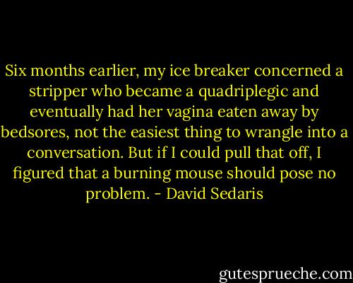 Six months earlier, my ice breaker concerned a stripper who became a quadriplegic and eventually had her vagina eaten away by bedsores, not the easiest thing to wrangle into a conversation. But if I could pull that off, I figured that a burning mouse should pose no problem. - David Sedaris