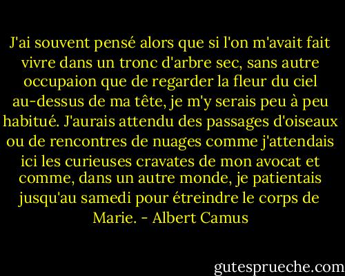 J'ai souvent pensé alors que si l'on m'avait fait vivre dans un tronc d'arbre sec, sans autre occupaion que de regarder la fleur du ciel au-dessus de ma tête, je m'y serais peu à peu habitué. J'aurais attendu des passages d'oiseaux ou de rencontres de nuages comme j'attendais ici les curieuses cravates de mon avocat et comme, dans un autre monde, je patientais jusqu'au samedi pour étreindre le corps de Marie. - Albert Camus