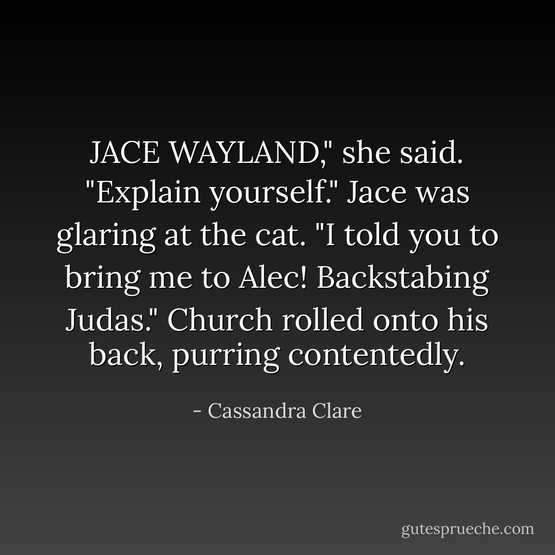 JACE WAYLAND," she said. "Explain yourself."<br />Jace was glaring at the cat. "I told you to bring me to Alec! Backstabing Judas."<br />Church rolled onto his back, purring contentedly. - Cassandra Clare