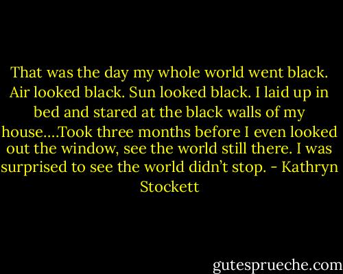 That was the day my whole world went black. Air looked black. Sun looked black. I laid up in bed and stared at the black walls of my house….Took three months before I even looked out the window, see the world still there. I was surprised to see the world didn’t stop. - Kathryn Stockett