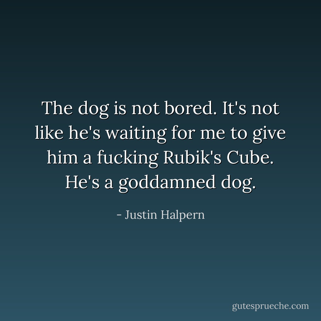 The dog is not bored. It's not like he's waiting for me to give him a fucking Rubik's Cube. He's a goddamned dog. - Justin Halpern