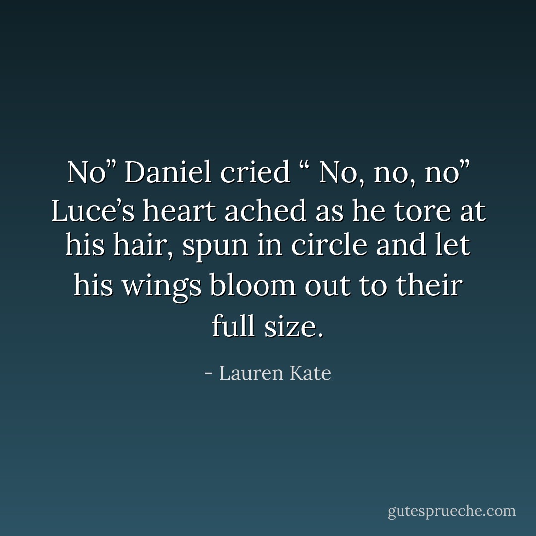 No” Daniel cried “ No, no, no”<br />Luce’s heart ached as he tore at his hair, spun in circle and let his wings bloom out to their full size. - Lauren Kate