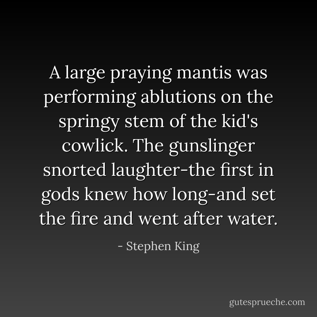 A large praying mantis was performing ablutions on the springy stem of the kid's cowlick. The gunslinger snorted laughter-the first in gods knew how long-and set the fire and went after water. - Stephen King