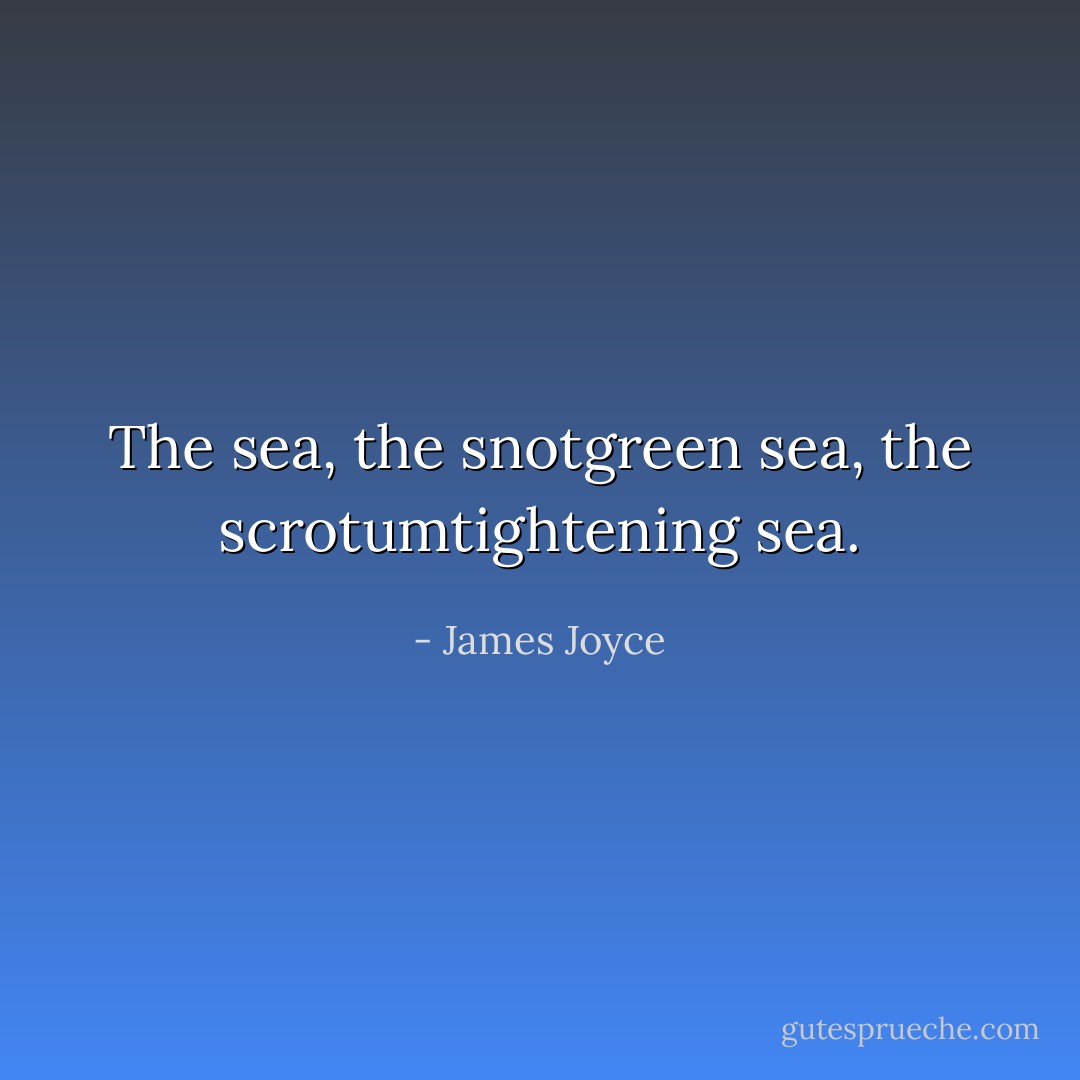 The sea, the snotgreen sea, the scrotumtightening sea. - James Joyce