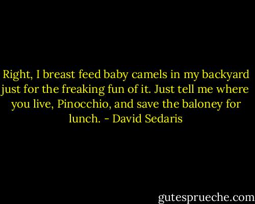 Right, I breast feed baby camels in my backyard just for the freaking fun of it. Just tell me where you live, Pinocchio, and save the baloney for lunch. - David Sedaris