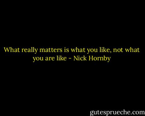 What really matters is what you like, not what you are like - Nick Hornby