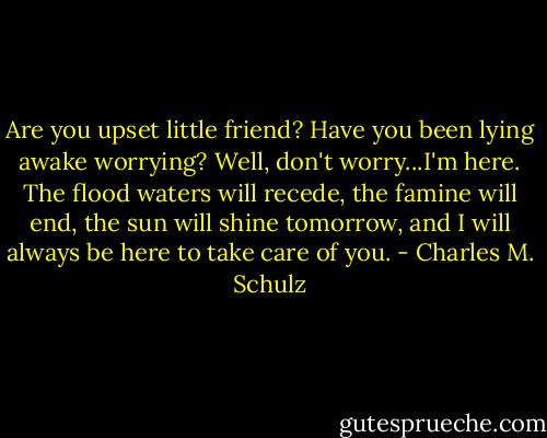 Are you upset little friend? Have you been lying awake worrying? Well, don't worry...I'm here. The flood waters will recede, the famine will end, the sun will shine tomorrow, and I will always be here to take care of you. - Charles M. Schulz