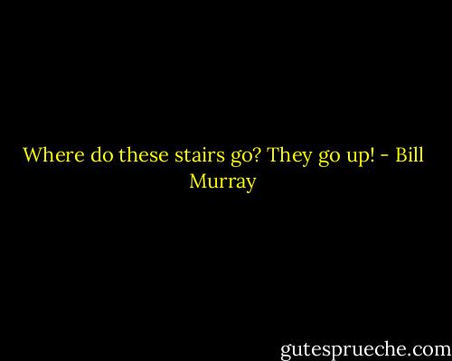 Where do these stairs go?<br />They go up! - Bill Murray
