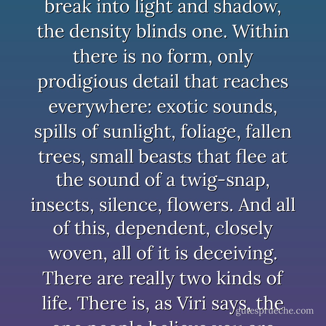 Their life is mysterious, it is like a forest; from far off it seems a unity, it can be comprehended, described, but closer it begins to separate, to break into light and shadow, the density blinds one. Within there is no form, only prodigious detail that reaches everywhere: exotic sounds, spills of sunlight, foliage, fallen trees, small beasts that flee at the sound of a twig-snap, insects, silence, flowers.<br />And all of this, dependent, closely woven, all of it is deceiving. There are really two kinds of life. There is, as Viri says, the one people believe you are living, and there is the other. It is this other which causes the trouble, this other we long to see. - James Salter