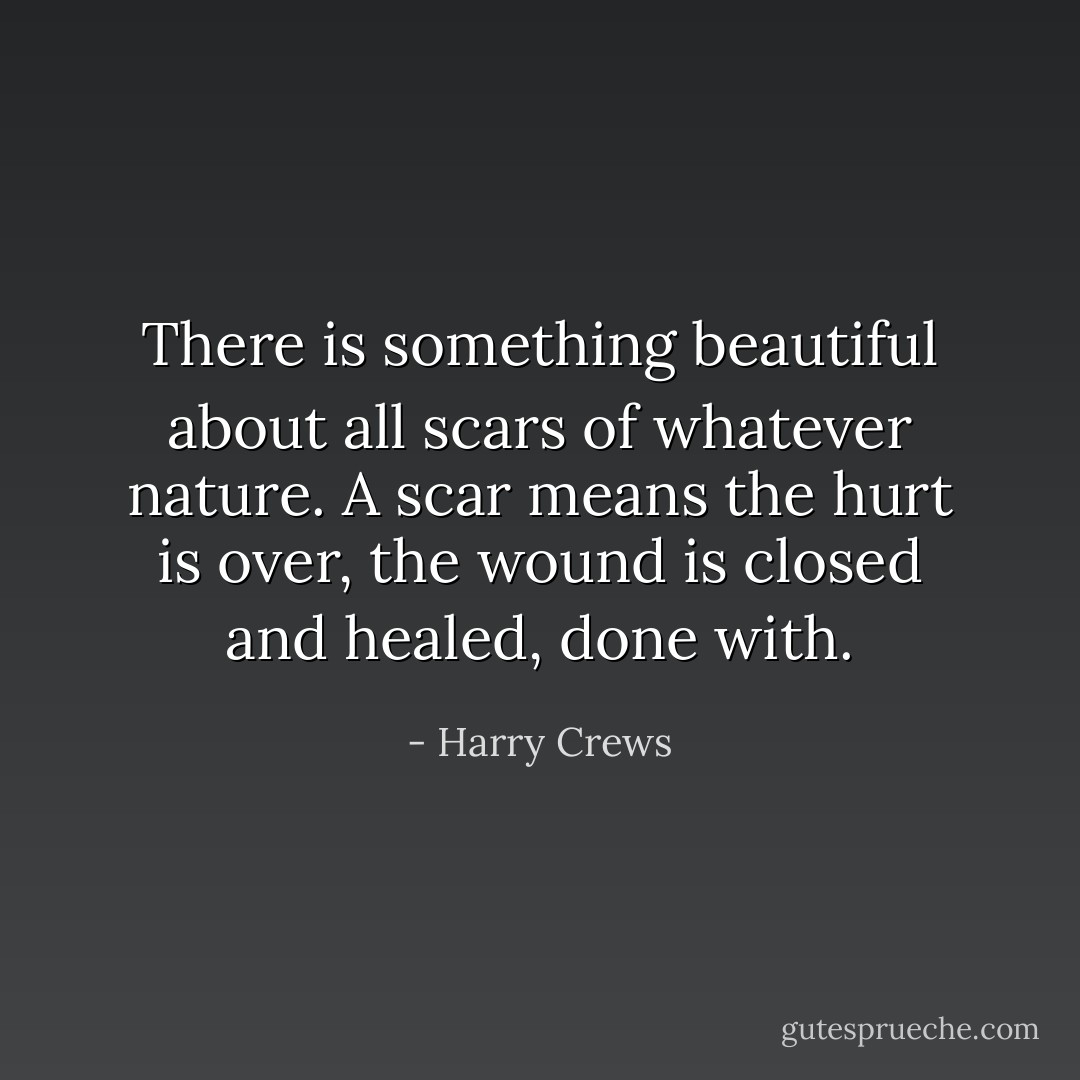 There is something beautiful about all scars of whatever nature. A scar means the hurt is over, the wound is closed and healed, done with. - Harry Crews