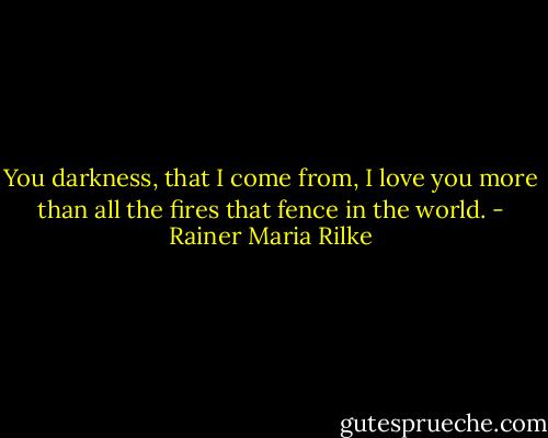 You darkness, that I come from, I love you more than all the fires that fence in the world. - Rainer Maria Rilke