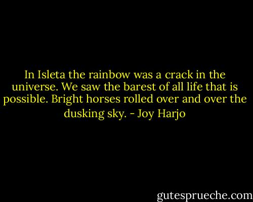In Isleta the rainbow was a crack in the universe. We saw the barest of all life that is possible. Bright horses rolled over and over the dusking sky. - Joy Harjo