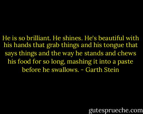He is so brilliant. He shines. He's beautiful with his hands that grab things and his tongue that says things and the way he stands and chews his food for so long, mashing it into a paste before he swallows. - Garth Stein