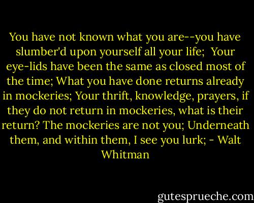 You have not known what you are--you have slumber'd upon yourself all your life; <br />Your eye-lids have been the same as closed most of the time;<br />What you have done returns already in mockeries;<br />Your thrift, knowledge, prayers, if they do not return in mockeries, what is their return?<br />The mockeries are not you;<br />Underneath them, and within them, I see you lurk; - Walt Whitman