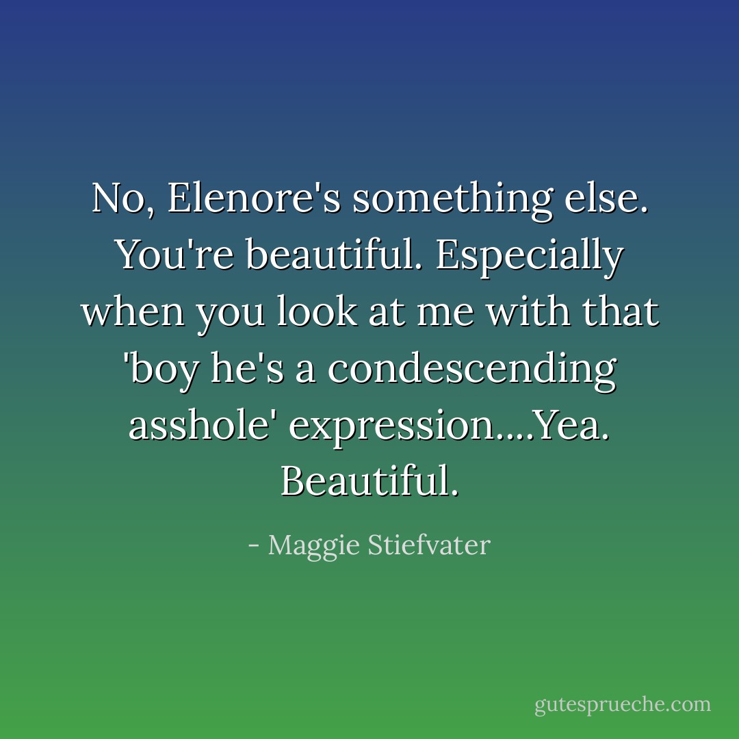 No, Elenore's something else. You're beautiful. Especially when you look at me with that 'boy he's a condescending asshole' expression....Yea. Beautiful. - Maggie Stiefvater