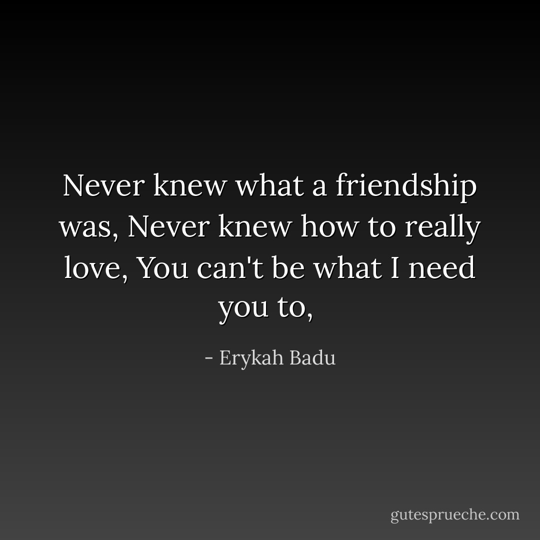 Never knew what a friendship was, Never knew how to really love, You can't be what I need you to,  - Erykah Badu