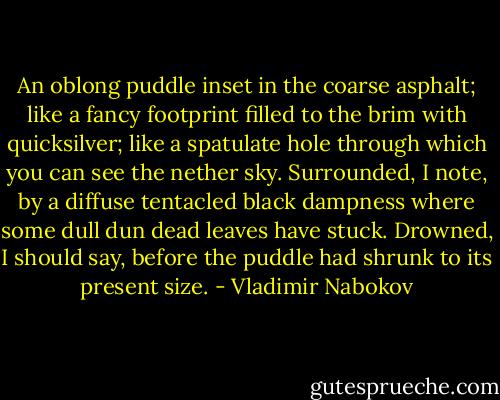 An oblong puddle inset in the coarse asphalt; like a fancy footprint filled to the brim with quicksilver; like a spatulate hole through which you can see the nether sky. Surrounded, I note, by a diffuse tentacled black dampness where some dull dun dead leaves have stuck. Drowned, I should say, before the puddle had shrunk to its present size. - Vladimir Nabokov