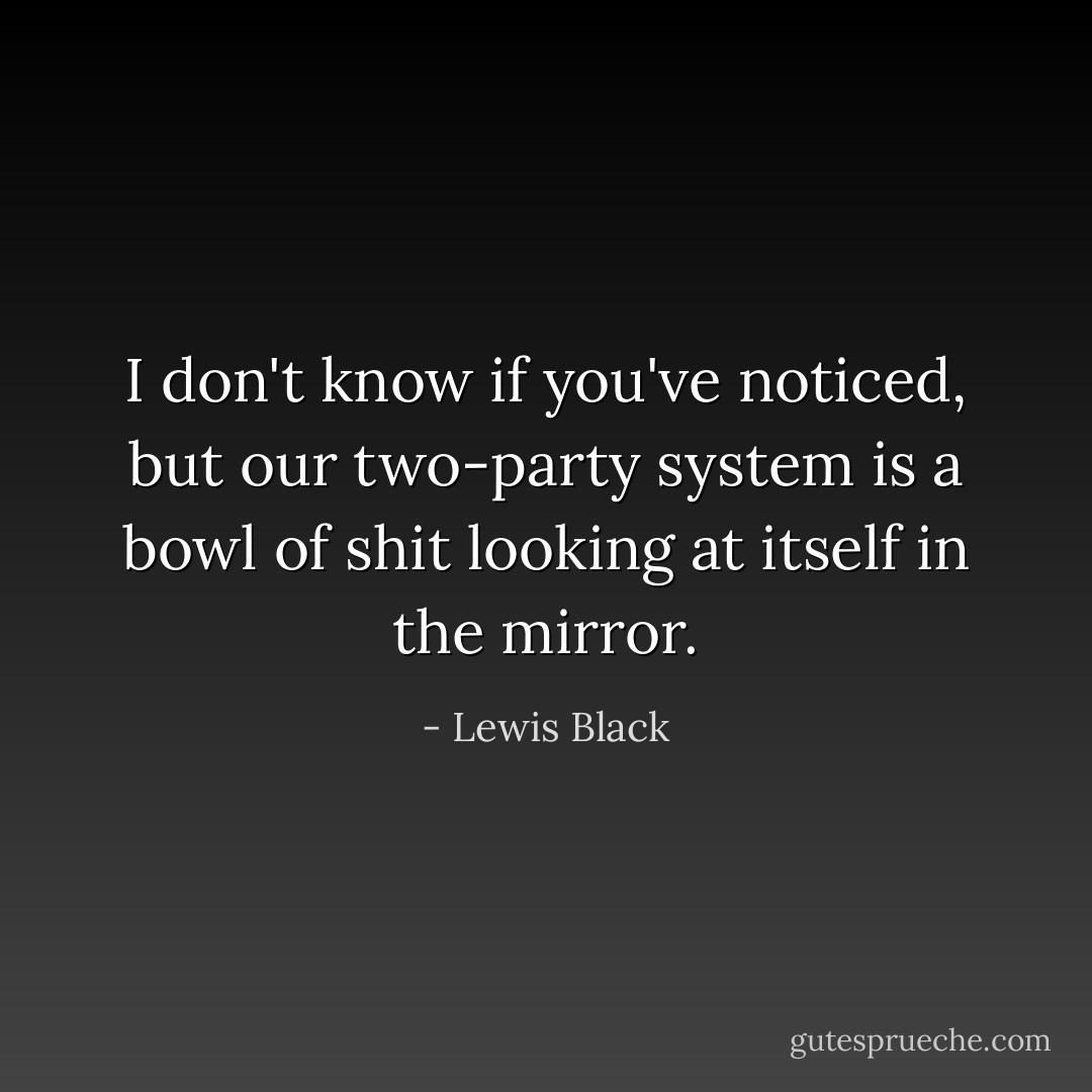 I don't know if you've noticed, but our two-party system is a bowl of shit looking at itself in the mirror. - Lewis Black