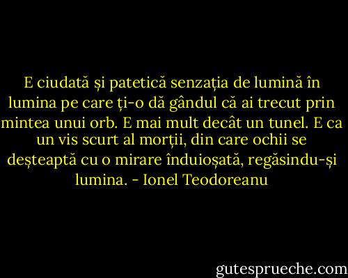 E ciudată și patetică senzația de lumină în lumina pe care ți-o dă gândul că ai trecut prin mintea unui orb. E mai mult decât un tunel. E ca un vis scurt al morții, din care ochii se deșteaptă cu o mirare înduioșată, regăsindu-și lumina. - Ionel Teodoreanu